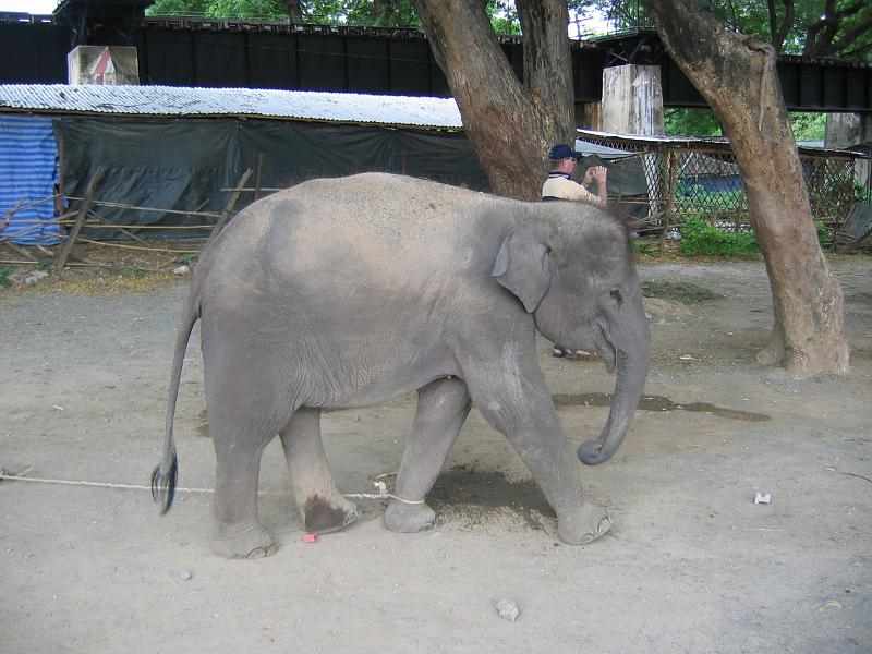Thailand (152)